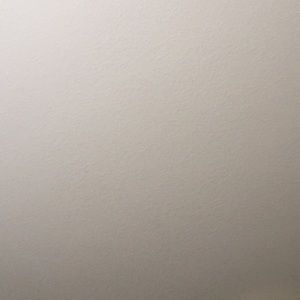 Meet your Posher, Shelley